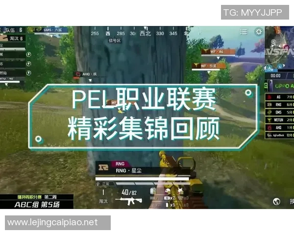 s15电竞总决赛和平精英中RNG配合引发的热议与争议分析